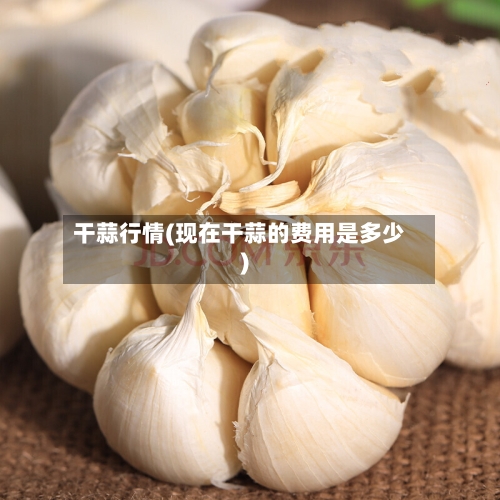干蒜行情(现在干蒜的费用是多少)-第1张图片