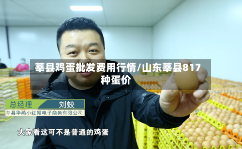 莘县鸡蛋批发费用行情/山东莘县817种蛋价-第1张图片