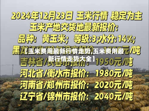 【玉米费用最新行情走势,玉米费用最新行情走势大全】-第1张图片