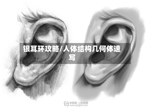 银耳环攻略/人体结构几何体速写-第1张图片