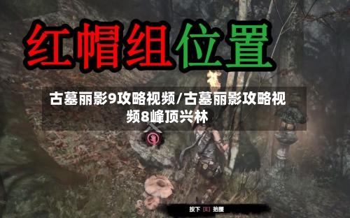 古墓丽影9攻略视频/古墓丽影攻略视频8峰顶兴林-第1张图片