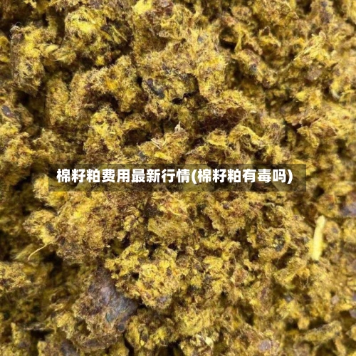 棉籽粕费用最新行情(棉籽粕有毒吗)-第1张图片
