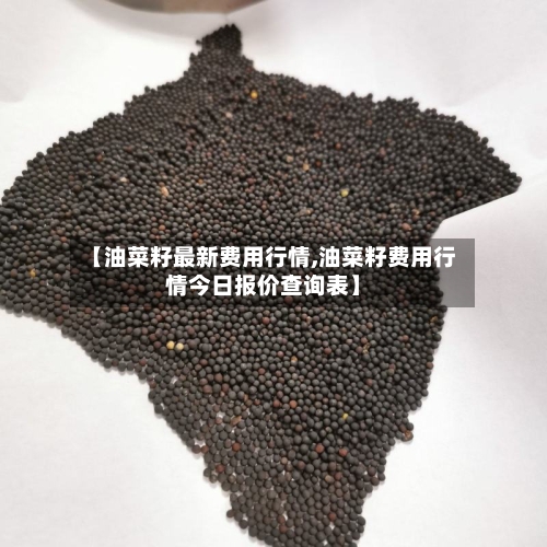 【油菜籽最新费用行情,油菜籽费用行情今日报价查询表】