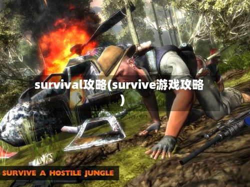 survival攻略(survive游戏攻略)-第1张图片