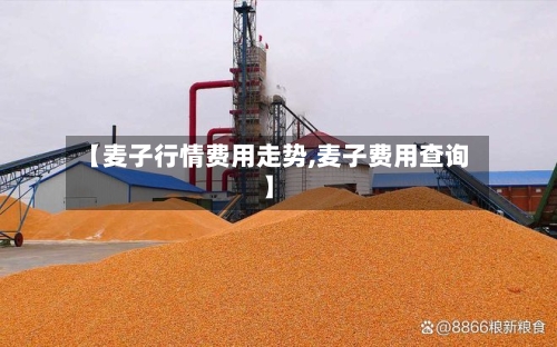 【麦子行情费用走势,麦子费用查询】-第1张图片