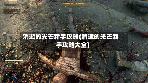 消逝的光芒新手攻略(消逝的光芒新手攻略大全)-第1张图片