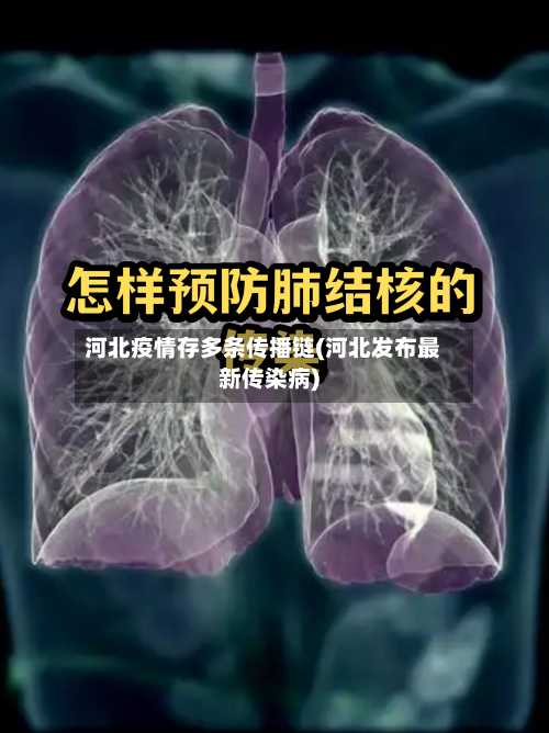 河北疫情存多条传播链(河北发布最新传染病)-第1张图片