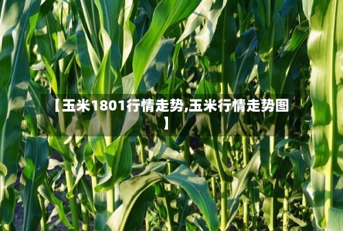 【玉米1801行情走势,玉米行情走势图】