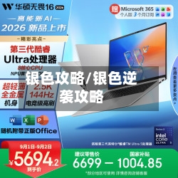 银色攻略/银色逆袭攻略-第1张图片