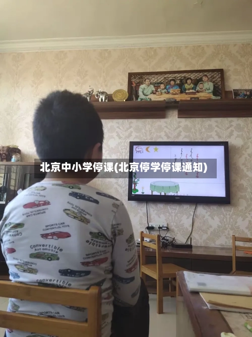 北京中小学停课(北京停学停课通知)-第1张图片