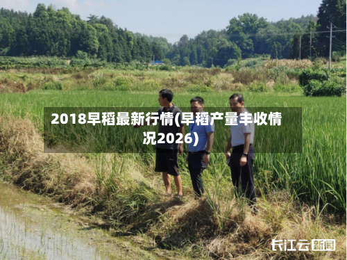 2018早稻最新行情(早稻产量丰收情况2026)-第1张图片