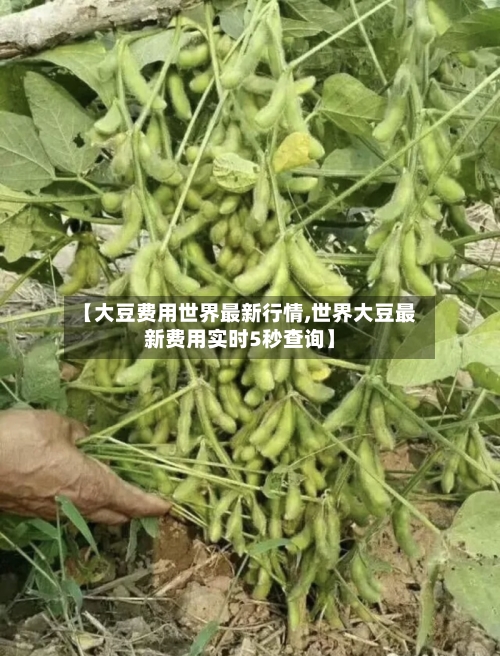 【大豆费用世界最新行情,世界大豆最新费用实时5秒查询】-第1张图片