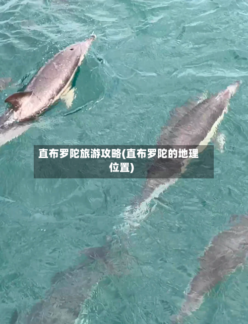 直布罗陀旅游攻略(直布罗陀的地理位置)-第3张图片