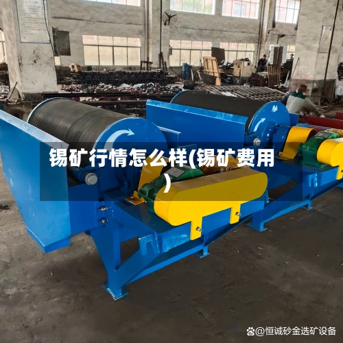 锡矿行情怎么样(锡矿费用)-第1张图片