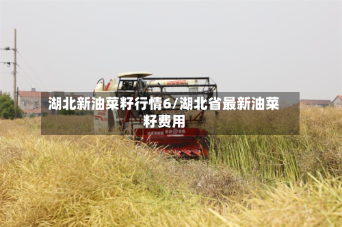 湖北新油菜籽行情6/湖北省最新油菜籽费用-第1张图片