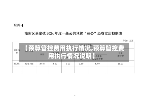 【预算管控费用执行情况,预算管控费用执行情况说明】-第1张图片