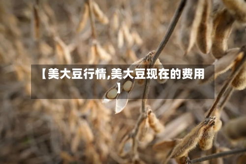 【美大豆行情,美大豆现在的费用】-第1张图片