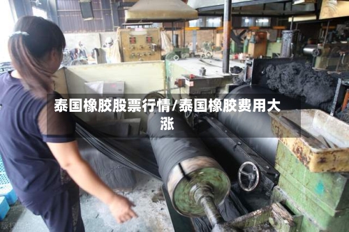 泰国橡胶股票行情/泰国橡胶费用大涨-第2张图片