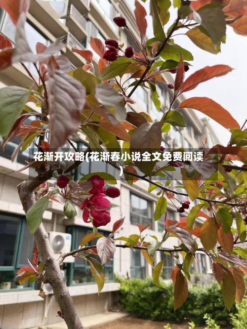 花渐开攻略(花渐春小说全文免费阅读)-第1张图片