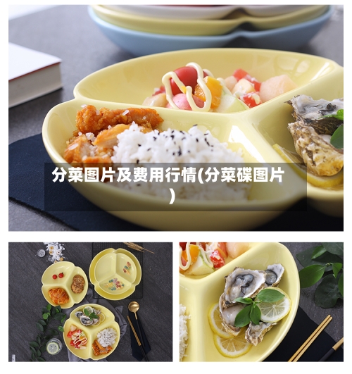 分菜图片及费用行情(分菜碟图片)-第1张图片