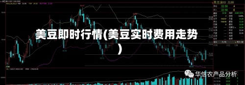 美豆即时行情(美豆实时费用走势)-第2张图片
