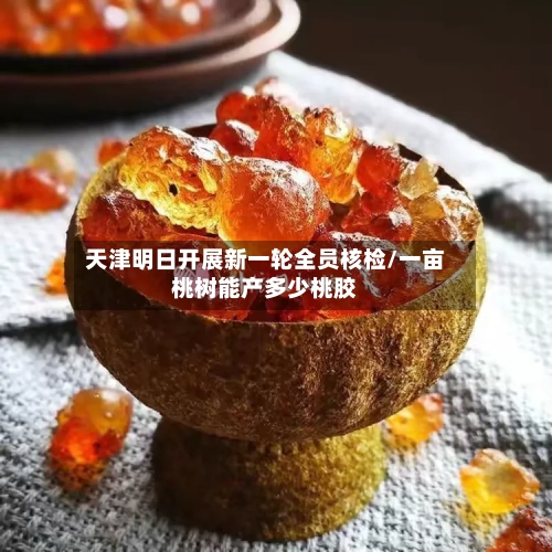 天津明日开展新一轮全员核检/一亩桃树能产多少桃胶