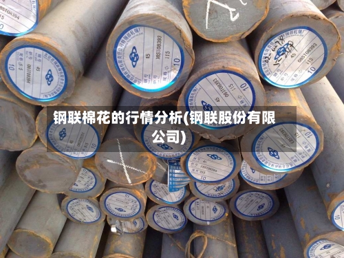 钢联棉花的行情分析(钢联股份有限公司)-第1张图片