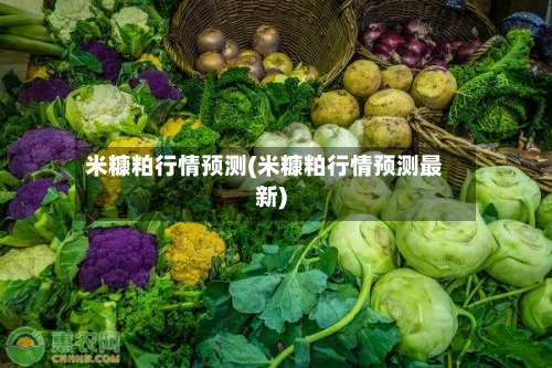 米糠粕行情预测(米糠粕行情预测最新)-第2张图片
