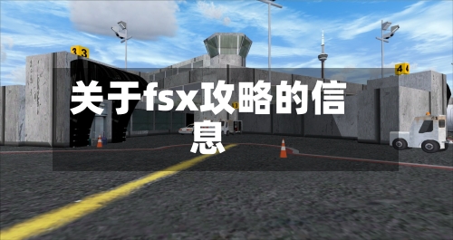 关于fsx攻略的信息