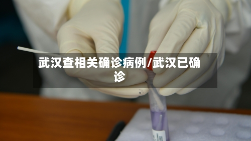 武汉查相关确诊病例/武汉已确诊-第2张图片