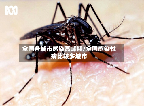 全国各城市感染高峰期/全国感染性病比较多城市-第3张图片
