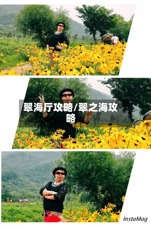 翠海厅攻略/翠之海攻略