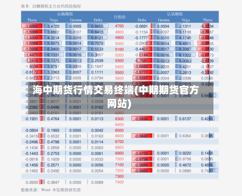 海中期货行情交易终端(中期期货官方网站)-第1张图片