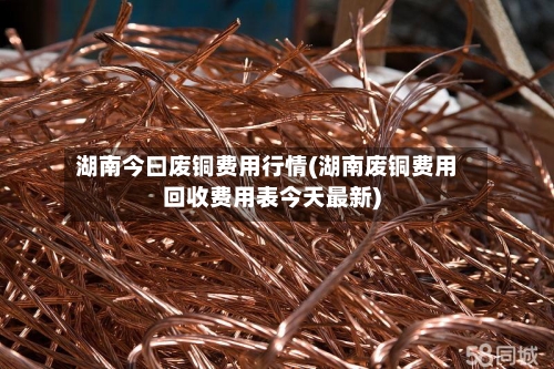 湖南今曰废铜费用行情(湖南废铜费用回收费用表今天最新)