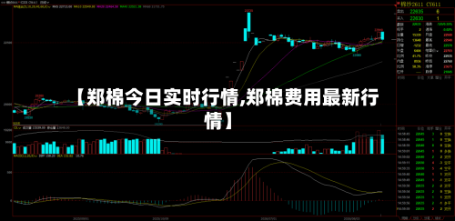 【郑棉今日实时行情,郑棉费用最新行情】