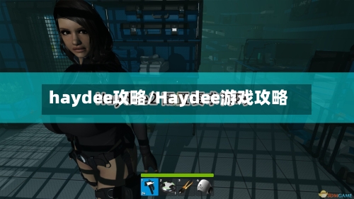 haydee攻略/Haydee游戏攻略-第3张图片