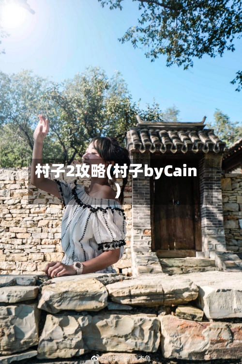 村子2攻略(村子byCain)-第2张图片