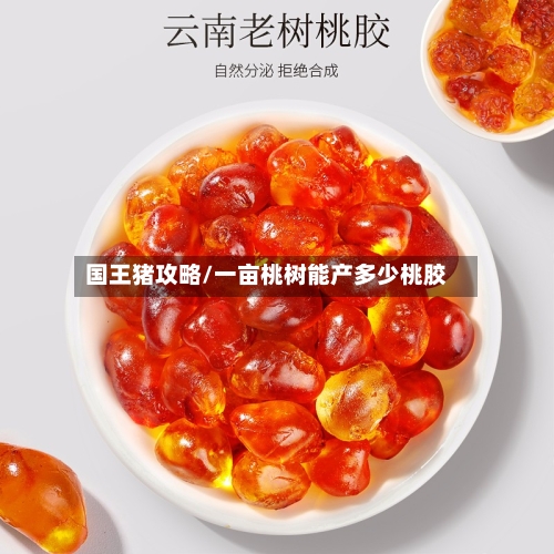 国王猪攻略/一亩桃树能产多少桃胶-第1张图片