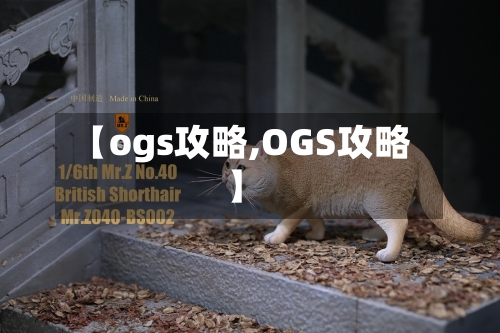 【ogs攻略,OGS攻略】-第2张图片