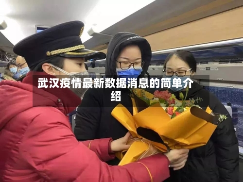 武汉疫情最新数据消息的简单介绍-第2张图片