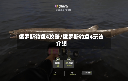 俄罗斯钓鱼4攻略/俄罗斯钓鱼4玩法介绍-第3张图片