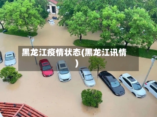 黑龙江疫情状态(黑龙江讯情)