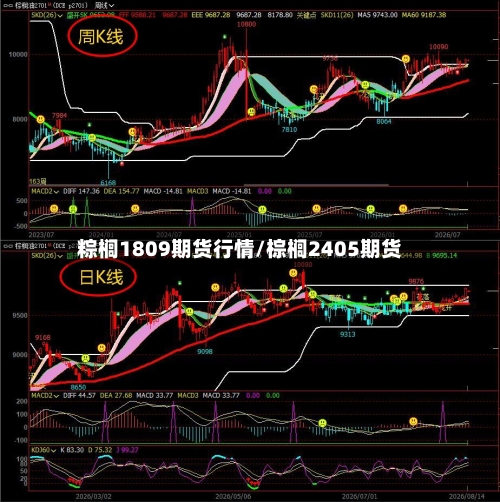 粽榈1809期货行情/棕榈2405期货