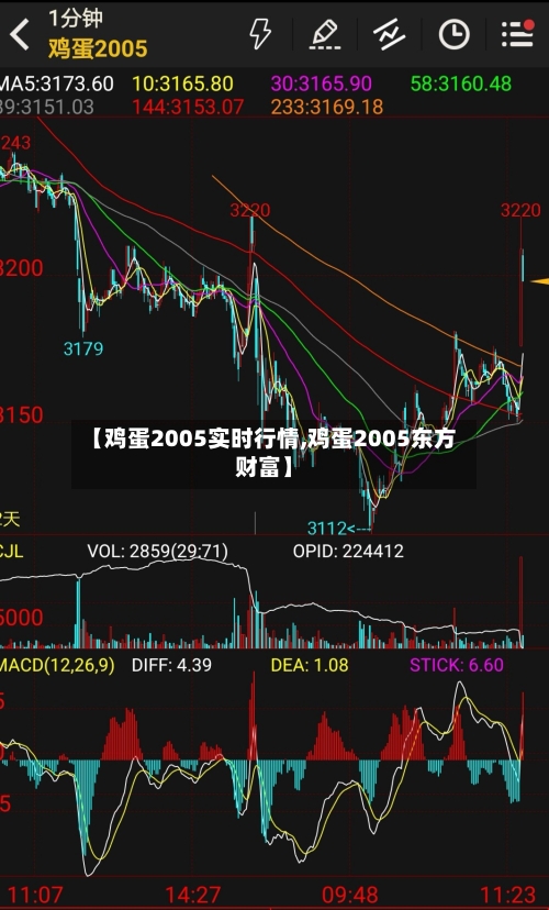 【鸡蛋2005实时行情,鸡蛋2005东方财富】-第2张图片