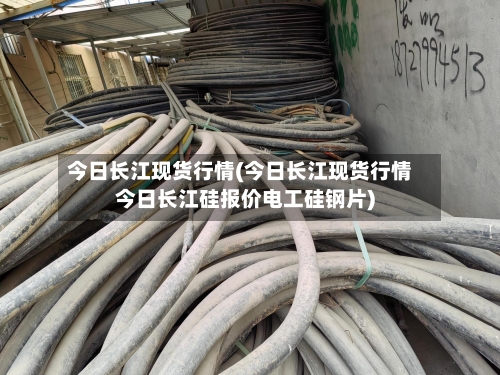 今日长江现货行情(今日长江现货行情今日长江硅报价电工硅钢片)