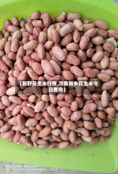 【新野花生米行情,河南新乡花生米今日费用】-第3张图片