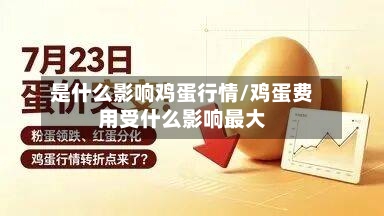 是什么影响鸡蛋行情/鸡蛋费用受什么影响最大