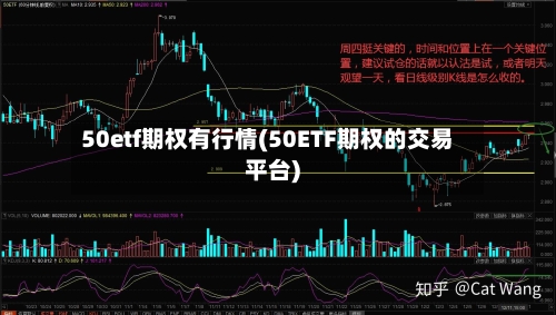 50etf期权有行情(50ETF期权的交易平台)-第3张图片