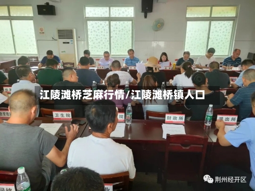 江陵滩桥芝麻行情/江陵滩桥镇人口-第1张图片
