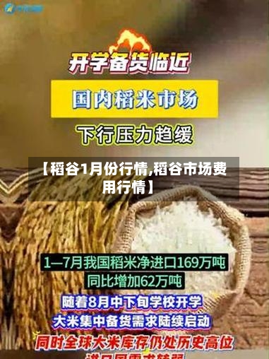 【稻谷1月份行情,稻谷市场费用行情】